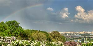 [ru]����, �������� ������ � ������������ ������������ ���� ��. �.�.������ ��� �������[en]Kyiv, Blooming Lilac in M.M.Gryshko National Botanical Garden of NAS of Ukraine