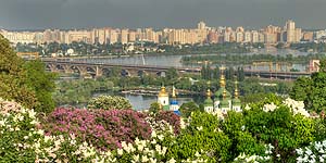 [ru]����, �������� ������ � ������������ ������������ ���� ��. �.�.������ ��� �������[en]Kyiv, Blooming Lilac in M.M.Gryshko National Botanical Garden of NAS of Ukraine