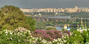 [ru]����, �������� ������ � ������������ ������������ ���� ��. �.�.������ ��� �������[en]Kyiv, Blooming Lilac in M.M.Gryshko National Botanical Garden of NAS of Ukraine