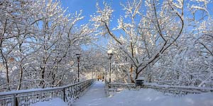 [ru]����, �������� ����[en]Kyiv, Park Bridge