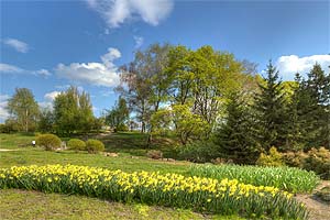 [ru]����, ������������ ������������ ��� ��. �.�.������ ��� �������[en]Kyiv, M.M.Gryshko National Botanical Garden of NAS of Ukraine