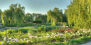 [ru]����, ������� � ������������ ������������ ���� ��. �.�.������ ��� �������[en]Kyiv, Rosarium in M.M.Gryshko National Botanical Garden of NAS of Ukraine