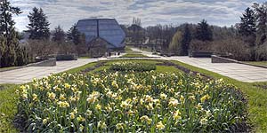 [ru]����, ������������ ������������ ��� ��. �.�.������ ��� �������[en]Kyiv, M.M.Gryshko National Botanical Garden of NAS of Ukraine