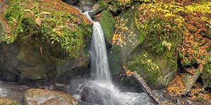 [en]Transcarpathians[ru]����������
