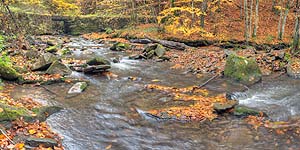 [en]Transcarpathians[ru]����������