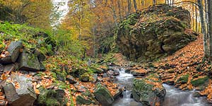 [en]Transcarpathians[ru]����������