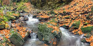 [en]Transcarpathians[ru]����������