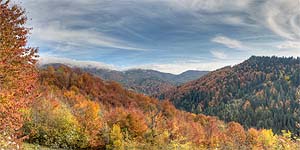 [en]Transcarpathians, View from Uzhok Pass[ru]����������, ��� � ��������� ��������